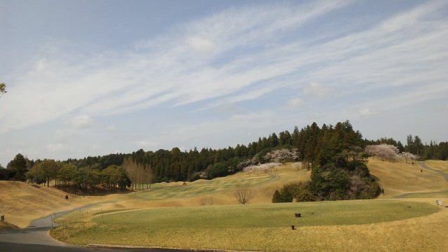 20110416|京ＣＣ｜コース写真４