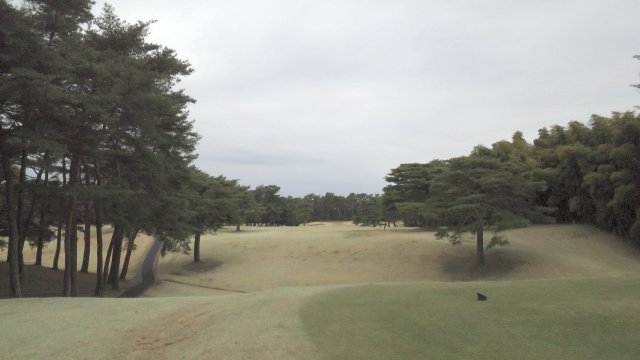 20110403|江戸崎ＣＣ｜コース写真５