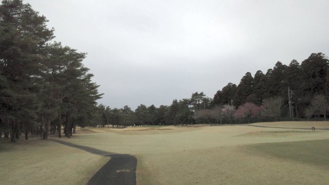 20110403|江戸崎ＣＣ｜コース写真６