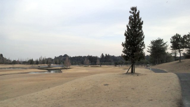 20110123|江戸崎カントリー倶楽部