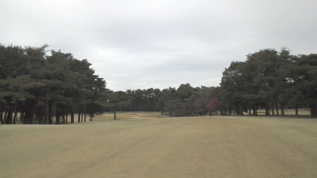 20110403|江戸崎ＣＣ｜コース写真７