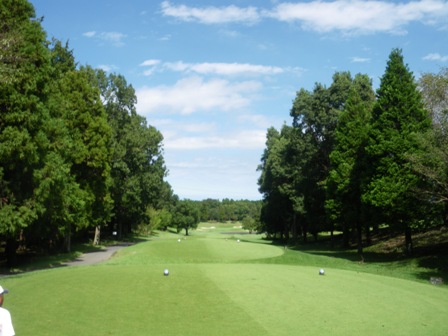 アスレチックＧＣ｜コース写真５