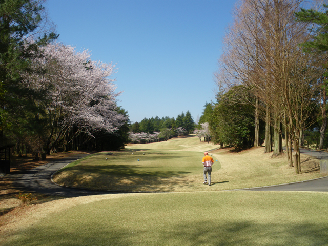 東筑波｜コース写真１