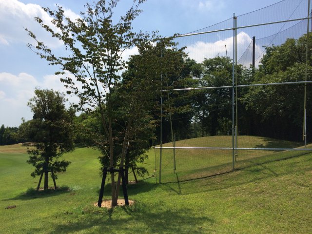 20140803｜京ＣＣ