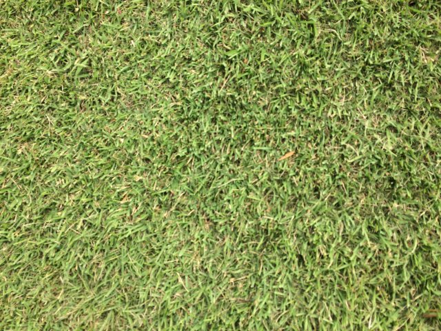 20140924｜リバーサイド