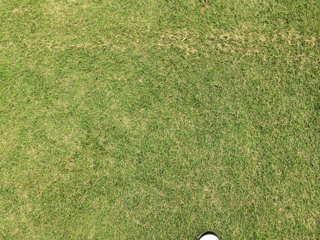 20140924｜リバーサイド