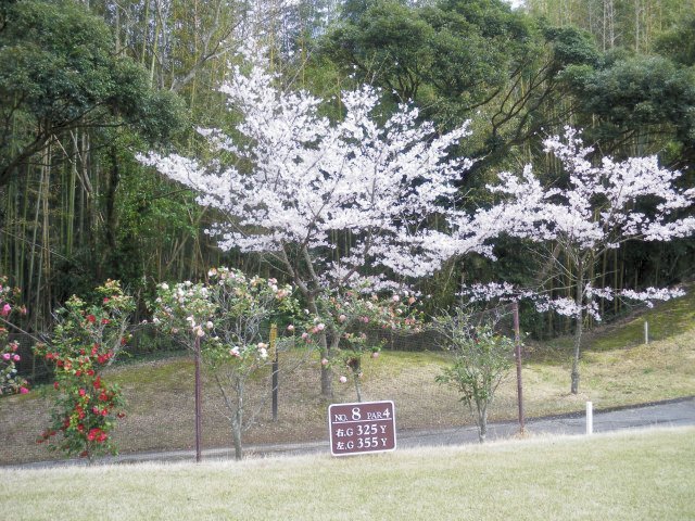 千葉よみうりカントリークラブ