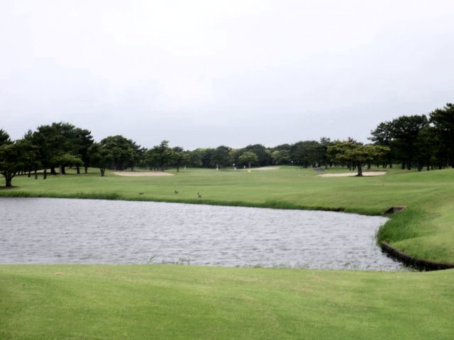 ワイルドダックカントリークラブ