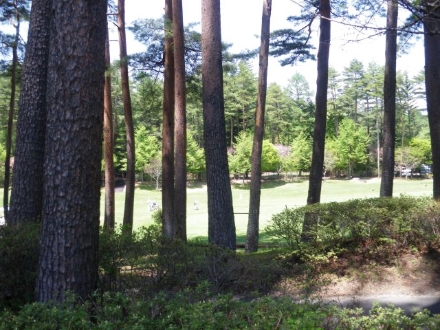 河口湖CC|ゴルフ場写真2