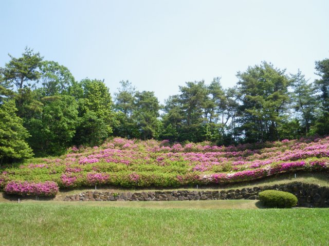 犬山ＣＣ｜ゴルフ場写真１０