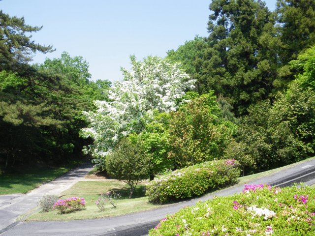 犬山ＣＣ｜ゴルフ場写真１２