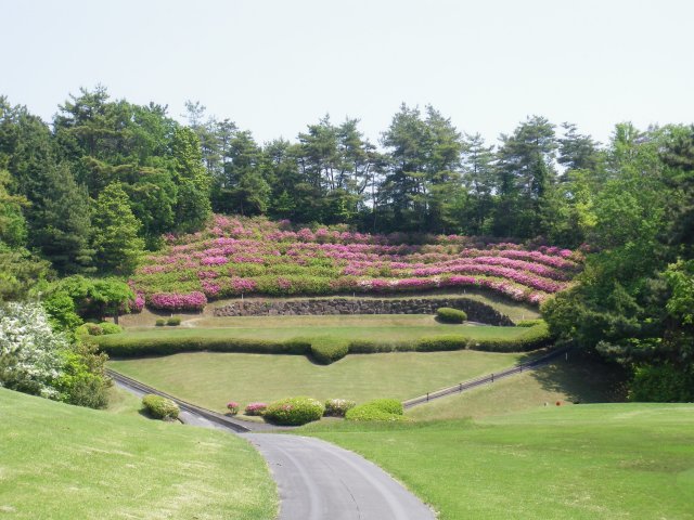 犬山ＣＣ｜ゴルフ場写真１１