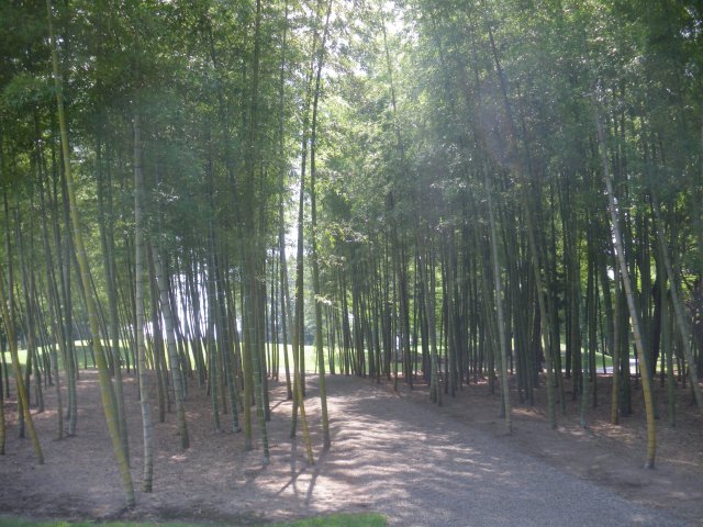 イーグルポイント｜ゴルフ場写真１０