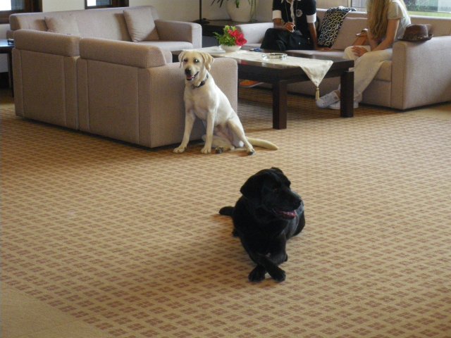 イーグルポイント｜ゴルフ場写真１５