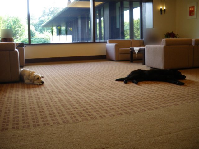 イーグルポイント｜ゴルフ場写真１６