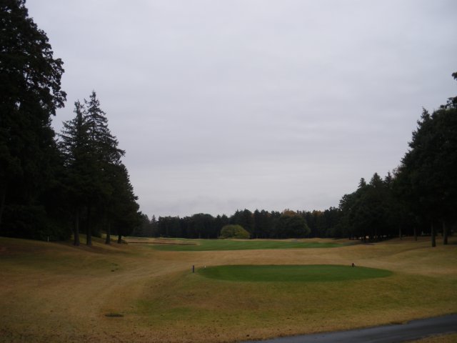 ザ・ＧＣ竜ヶ崎｜コース写真８