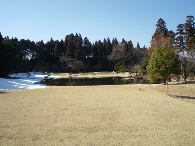 真名ＣＣ｜コース写真５