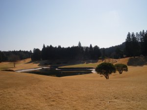 宍戸ヒルズＣＣ｜コース写真２