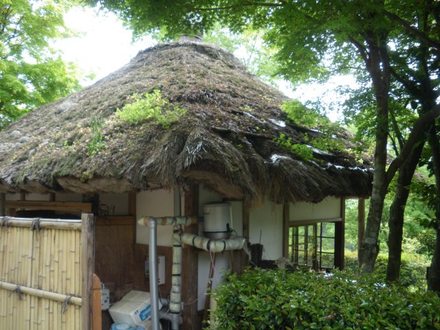 白竜湖カントリークラブ｜コース写真３