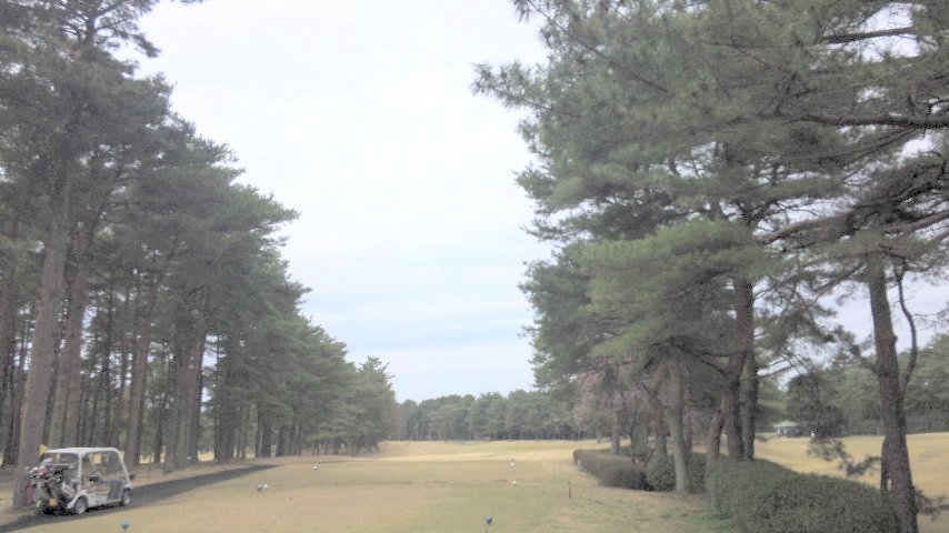 20100404|江戸崎カントリー倶楽部