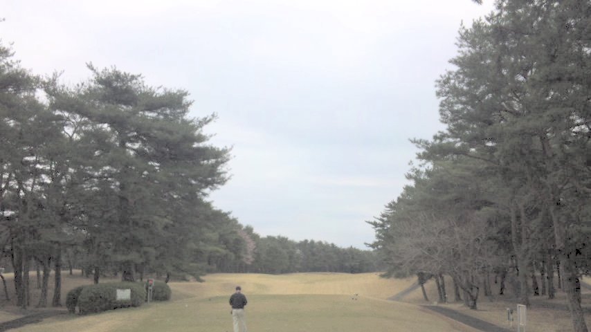 20100404|江戸崎カントリー倶楽部