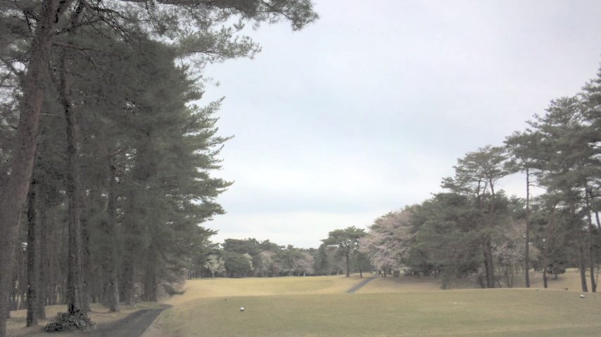 20100404|江戸崎カントリー倶楽部