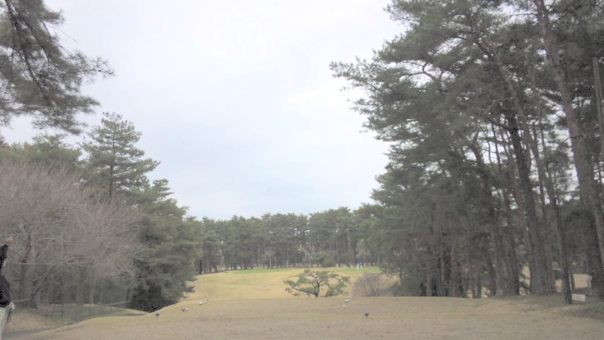 20100404|江戸崎カントリー倶楽部