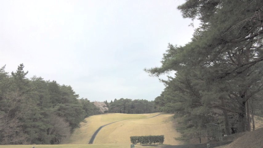 20100404|江戸崎カントリー倶楽部