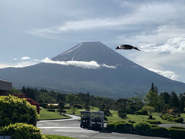 朝霧ジャンボリーゴルフクラブ