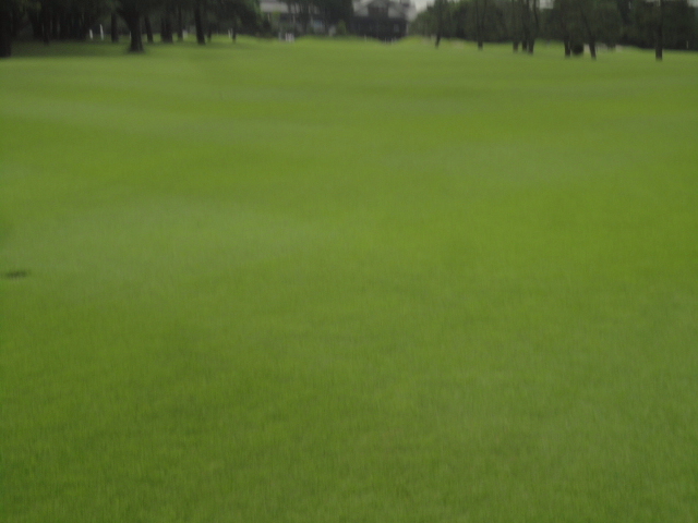 小金井カントリー倶楽部