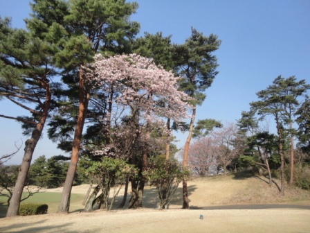東京よみうりカントリークラブ