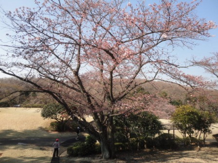 東京よみうりカントリークラブ