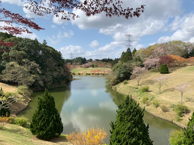 ゴルフ倶楽部成田ハイツリー