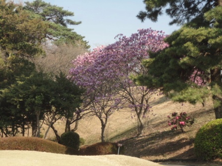 東京よみうりカントリークラブ