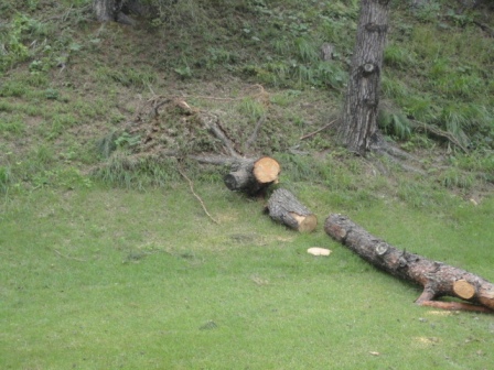 府中カントリークラブ