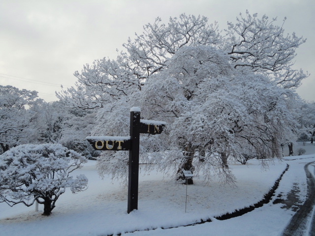 ＧＣ成田ハイツリー｜雪景色
