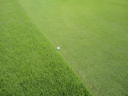 青梅ゴルフ倶楽部