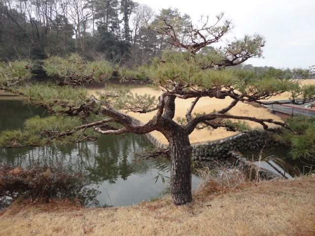嵐山カントリークラブ