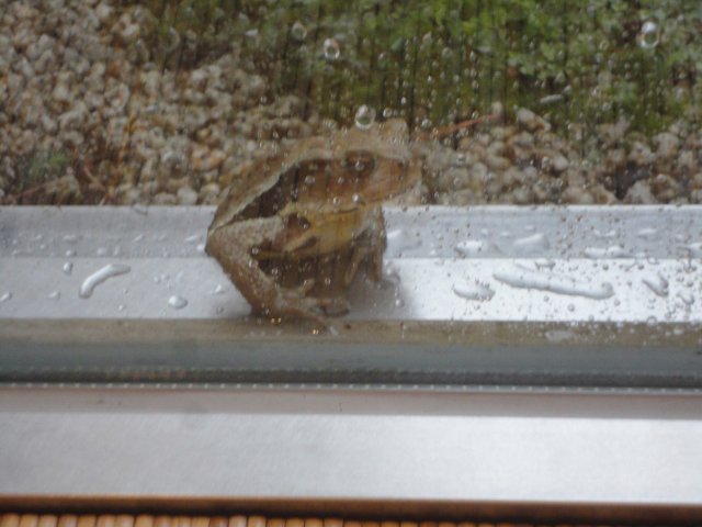 小金井カントリー倶楽部