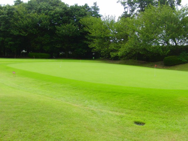 グリーン（印旛コース）
