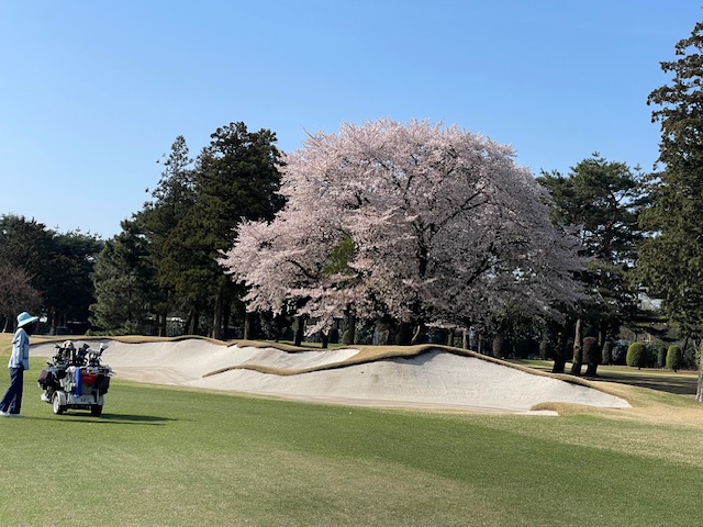 狭山ゴルフ・クラブ