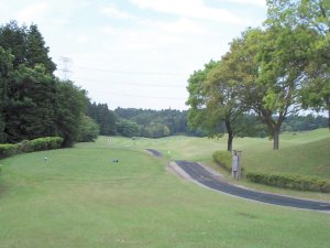 20080524