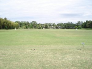 20080530