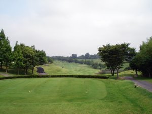 20080706