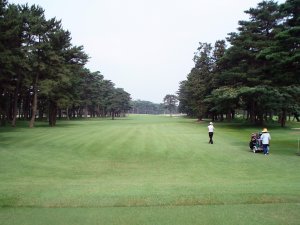 20080715