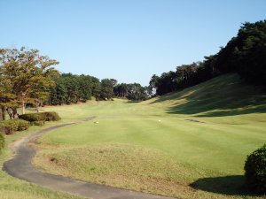 20081004