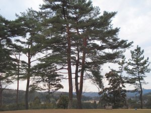 20090108