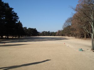 20090117