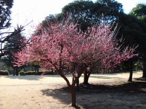 20090208