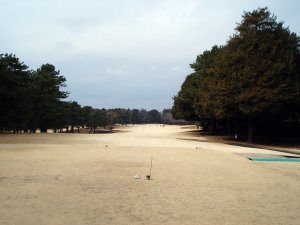 20090211